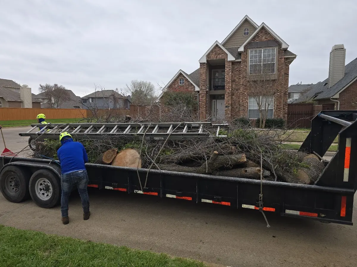 Expert Crown Reduction with proper safety equipment in Glen Allen